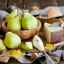 Листопадова груша: як отримати плоди для новорічного столу