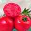 Опис сорту томату (помідори) `айша`